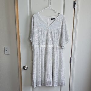 Elegant Silver Sequin Dress